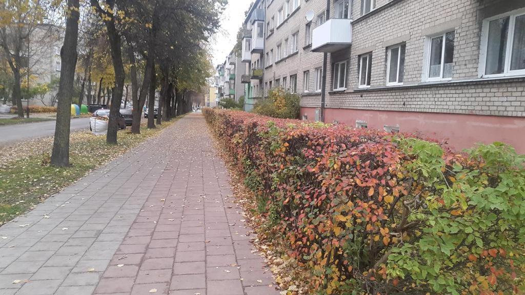 Apartment For You Siauliai  Luaran gambar